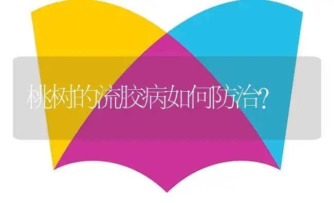 桃树的流胶病如何防治？ | 植物病虫害