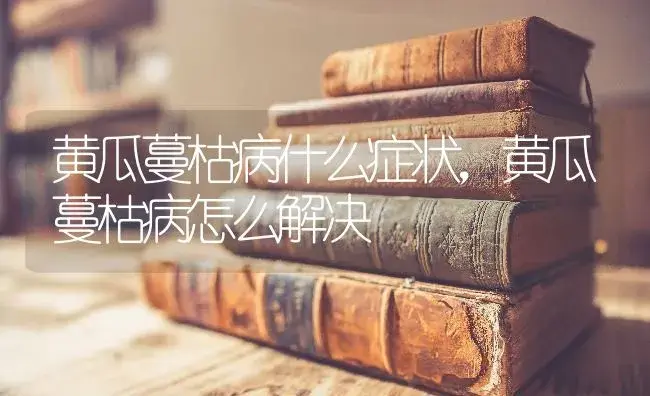 黄瓜蔓枯病什么症状，黄瓜蔓枯病怎么解决 | 蔬菜种植