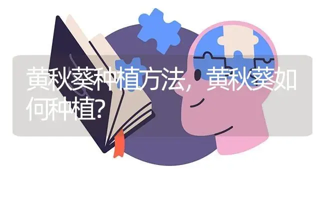 黄秋葵种植方法，黄秋葵如何种植？ | 蔬菜种植