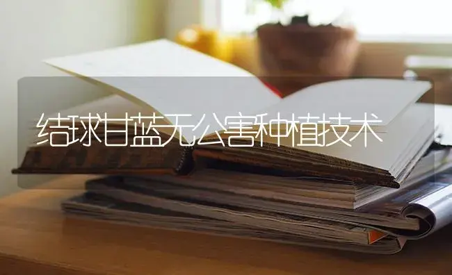 结球甘蓝无公害种植技术 | 蔬菜种植