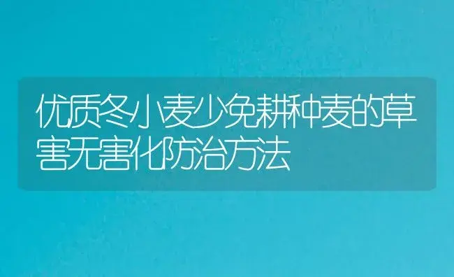 优质冬小麦少免耕种麦的草害无害化防治方法 | 植物病虫害