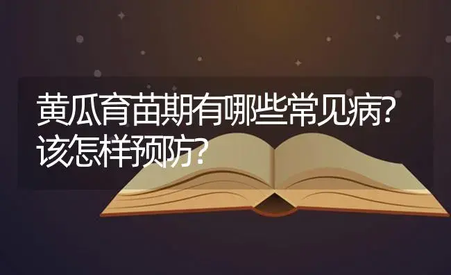 黄瓜育苗期有哪些常见病？该怎样预防？ | 蔬菜种植