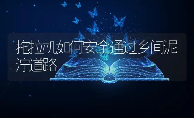 拖拉机如何安全通过乡间泥泞道路 | 农资农机