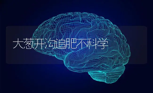 大葱开沟追肥不科学 | 蔬菜种植