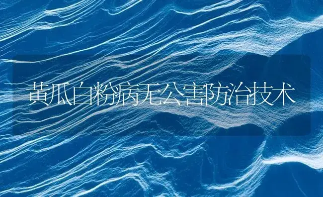 黄瓜白粉病无公害防治技术 | 植物病虫害