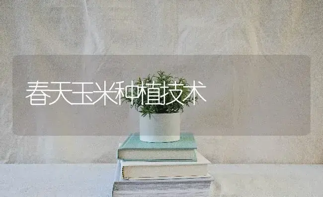 大棚黄瓜增产几项方法 | 蔬菜种植