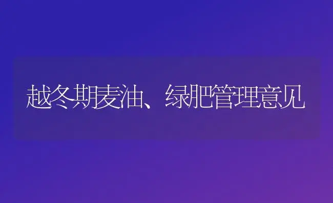 越冬期麦油、绿肥管理意见 | 植物肥料