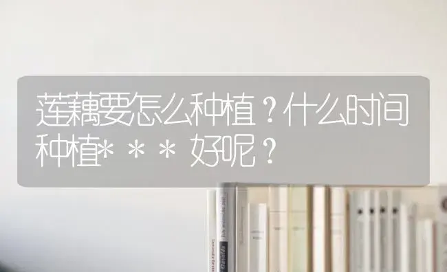 莲藕要怎么种植？什么时间种植***好呢？ | 蔬菜种植