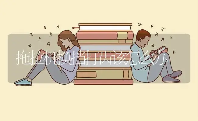 拖拉机换挡打齿该怎么办 | 农资农机