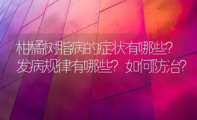 柑橘树脂病的症状有哪些？发病规律有哪些？如何防治？ | 植物病虫害