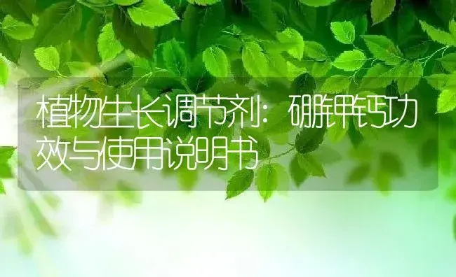 植物生长调节剂：硼钾钙 | 适用防治对象及农作物使用方法说明书 | 植物农药