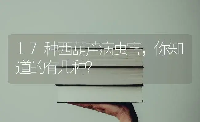 17种西葫芦病虫害，你知道的有几种？ | 蔬菜种植