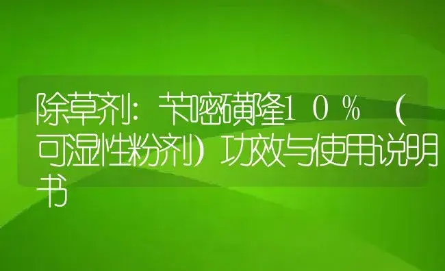 除草剂：苄嘧磺隆10%（可湿性粉剂） | 适用防治对象及农作物使用方法说明书 | 植物农药