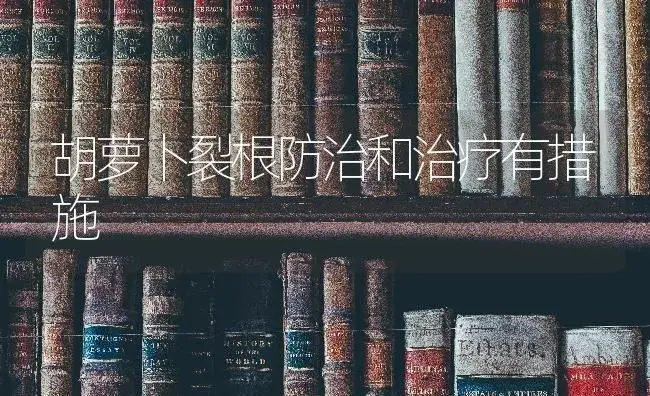 对于丝瓜烂花应提前预防 | 蔬菜种植