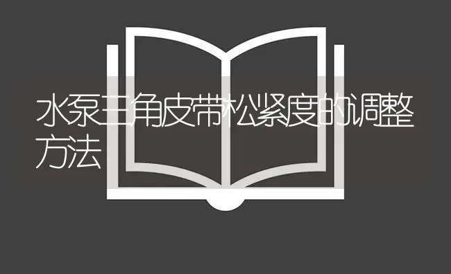 水泵三角皮带松紧度的调整方法 | 农资农机