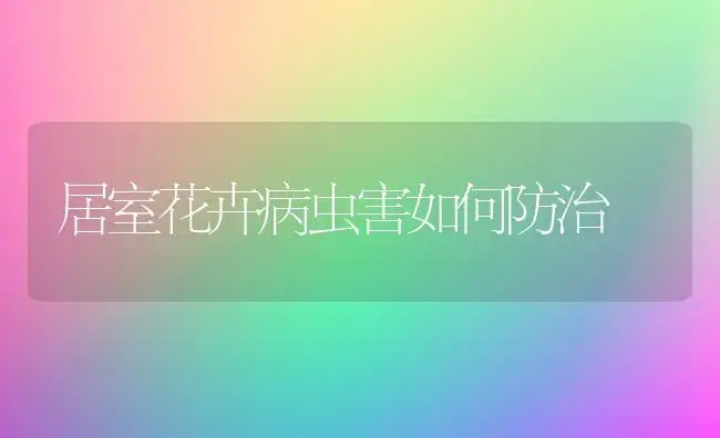 居室花卉病虫害如何防治 | 植物病虫害