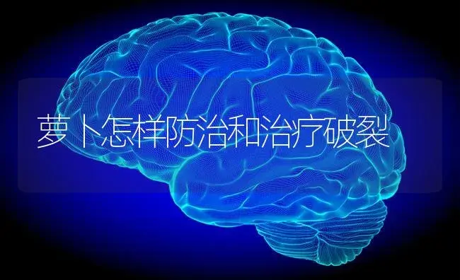 萝卜怎样防治和治疗破裂 | 蔬菜种植