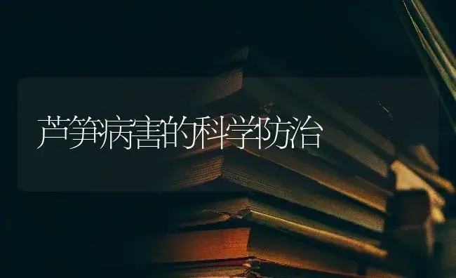 芦笋病害的科学防治 | 蔬菜种植