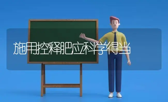施用控释肥应科学得当 | 植物肥料