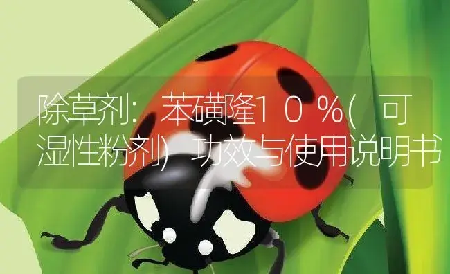 除草剂：苯磺隆10%(可湿性粉剂) | 适用防治对象及农作物使用方法说明书 | 植物农药