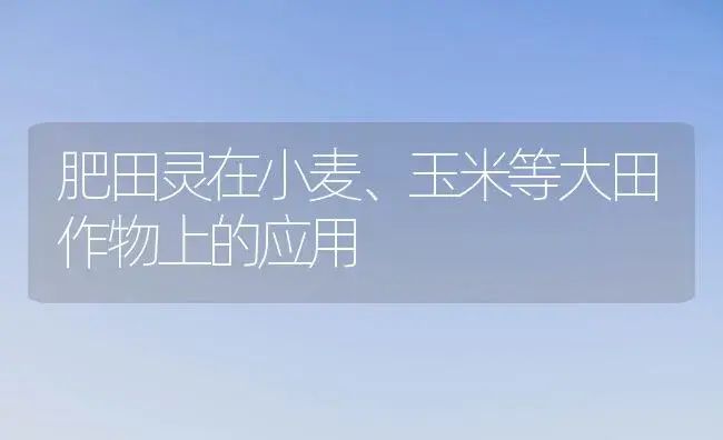 肥田灵在小麦、玉米等大田作物上的应用 | 植物肥料