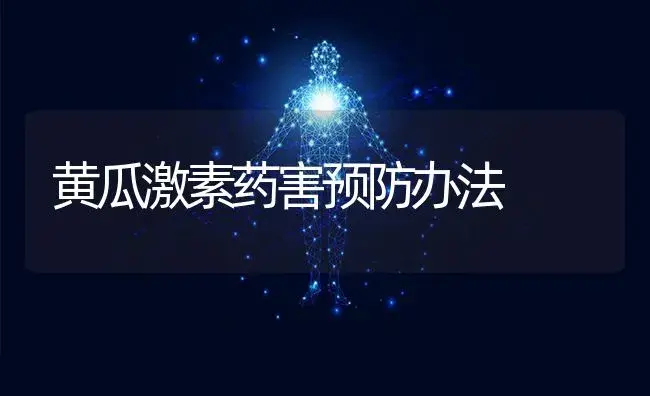 黄瓜激素药害预防办法 | 蔬菜种植