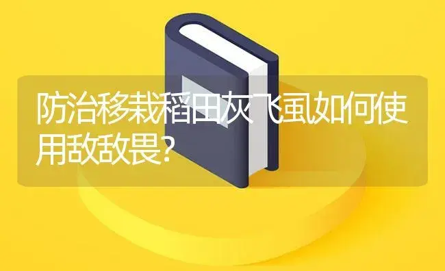 防治移栽稻田灰飞虱如何使用敌敌畏？ | 植物病虫害