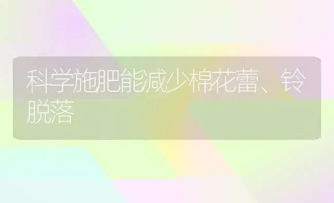 科学施肥能减少棉花蕾、铃脱落 | 植物肥料