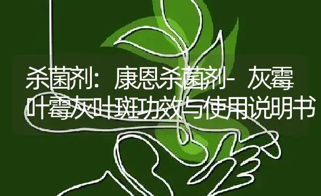 杀菌剂：康恩杀菌剂-灰霉叶霉灰叶斑 | 适用防治对象及农作物使用方法说明书 | 植物农药