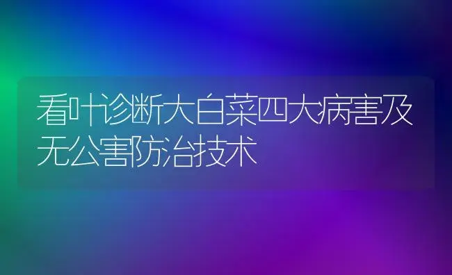 看叶诊断大白菜四大病害及无公害防治技术 | 植物病虫害