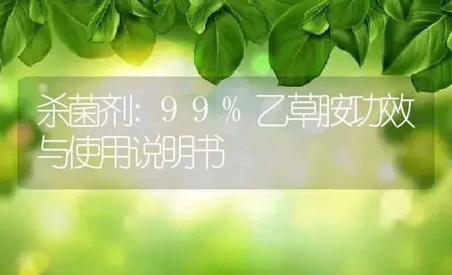 杀菌剂：99%乙草胺 | 适用防治对象及农作物使用方法说明书 | 植物农药