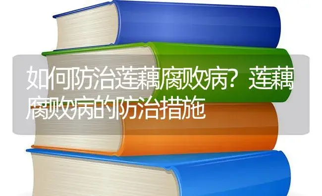 如何防治莲藕腐败病？莲藕腐败病的防治措施 | 蔬菜种植