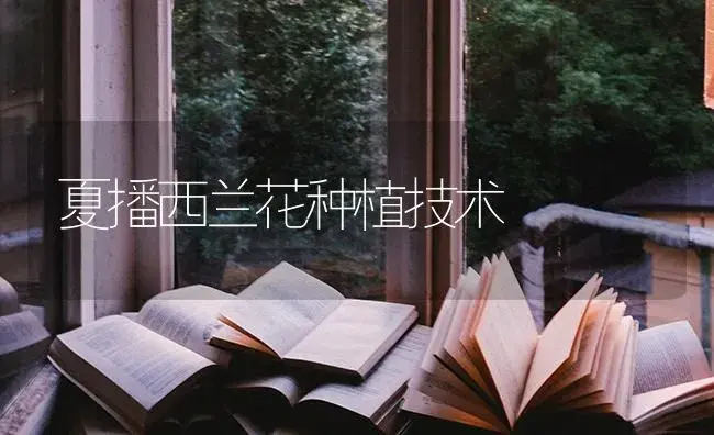 夏播西兰花种植技术 | 蔬菜种植