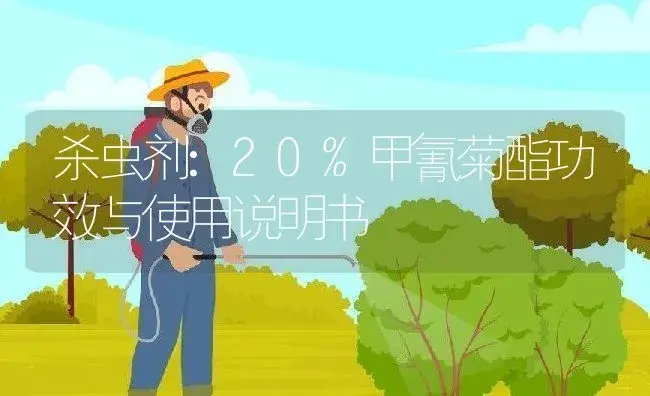 杀虫剂：20%甲氰菊酯 | 适用防治对象及农作物使用方法说明书 | 植物农药