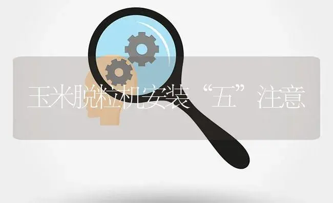 玉米脱粒机安装“五”注意 | 农资农机