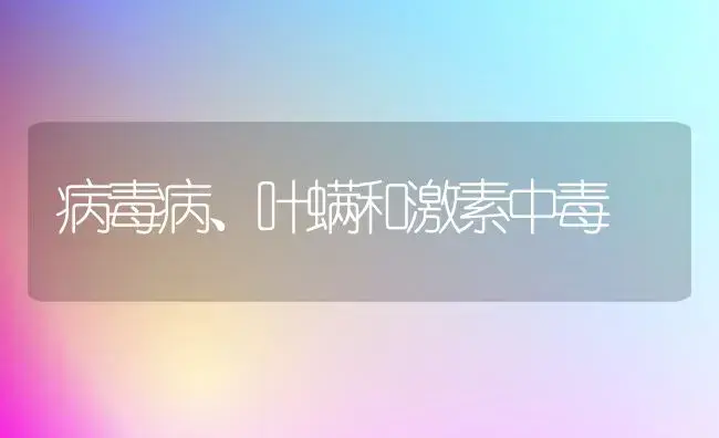 病毒病、叶螨和激素中毒 | 植物病虫害