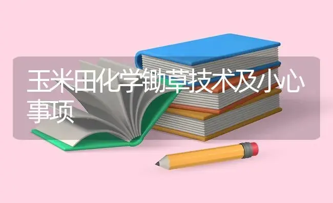 玉米田化学锄草技术及小心事项 | 蔬菜种植