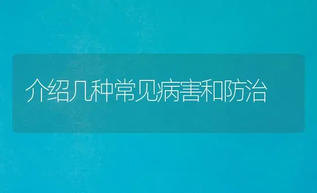 介绍几种常见病害和防治 | 植物病虫害