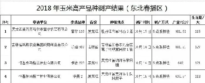 这些玉米品系高产又稳产，最高亩产1300多千克！