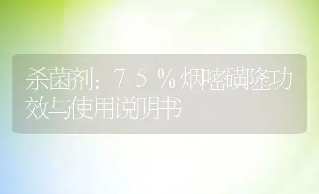 杀菌剂：75%烟嘧磺隆 | 适用防治对象及农作物使用方法说明书 | 植物农药