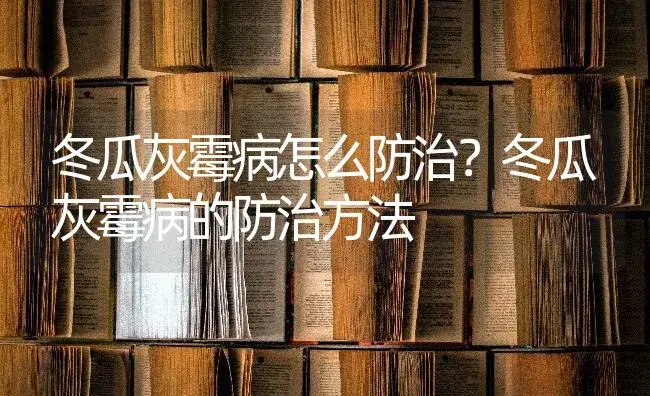 冬瓜灰霉病怎么防治？冬瓜灰霉病的防治方法 | 蔬菜种植