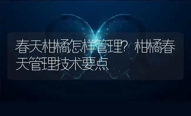 春天柑橘怎样管理？柑橘春天管理技术要点 | 蔬菜种植