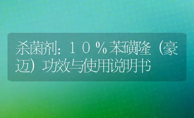 杀菌剂：10%苯磺隆（豪迈） | 适用防治对象及农作物使用方法说明书 | 植物农药