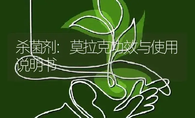 杀菌剂：莫拉克 | 适用防治对象及农作物使用方法说明书 | 植物农药