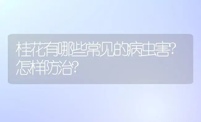 桂花有哪些常见的病虫害?怎样防治? | 植物病虫害