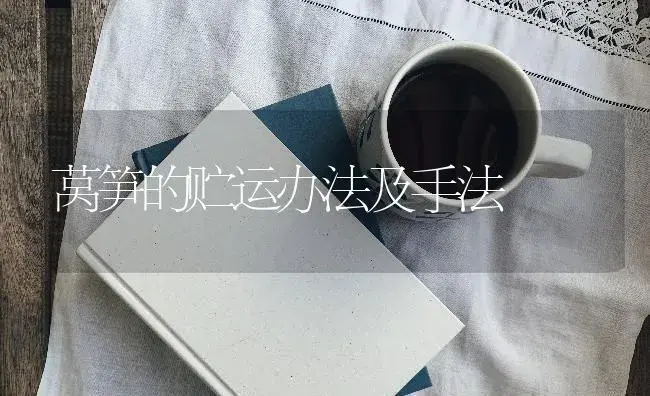 莴笋的贮运办法及手法 | 蔬菜种植