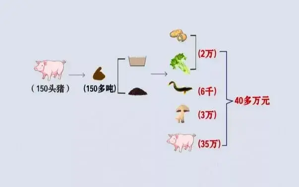 工科男陈明红的循环农业 猪粪变宝种养来财