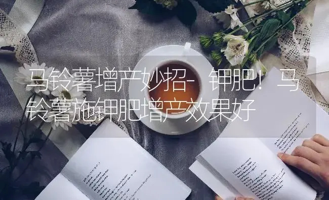 马铃薯增产妙招-钾肥！马铃薯施钾肥增产效果好 | 蔬菜种植