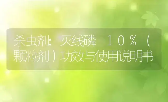 杀虫剂：灭线磷 10%（颗粒剂） | 适用防治对象及农作物使用方法说明书 | 植物农药