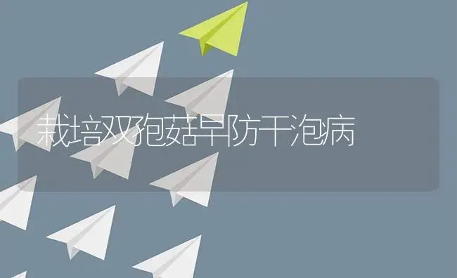 栽培双孢菇早防干泡病 | 植物病虫害